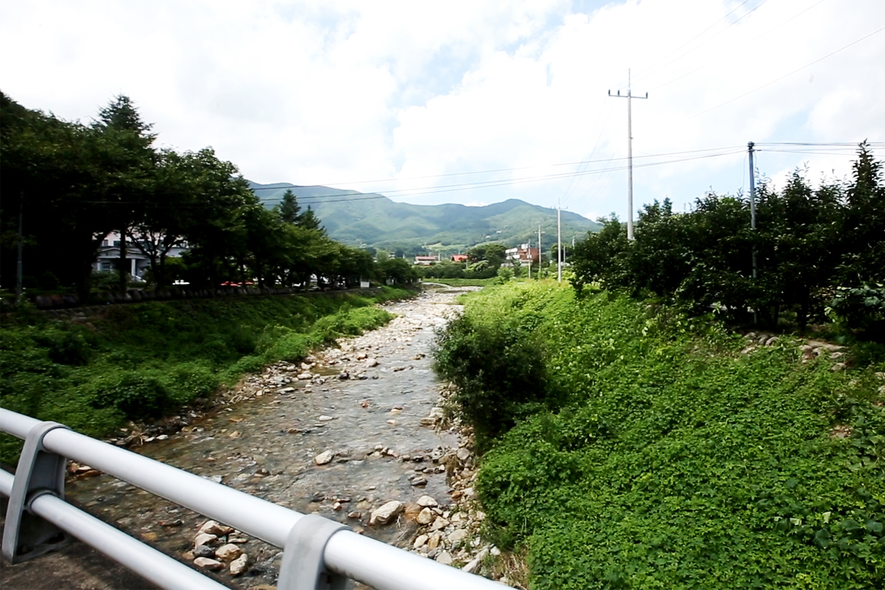 병원 초입